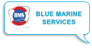BLUE MARINE SERVICES